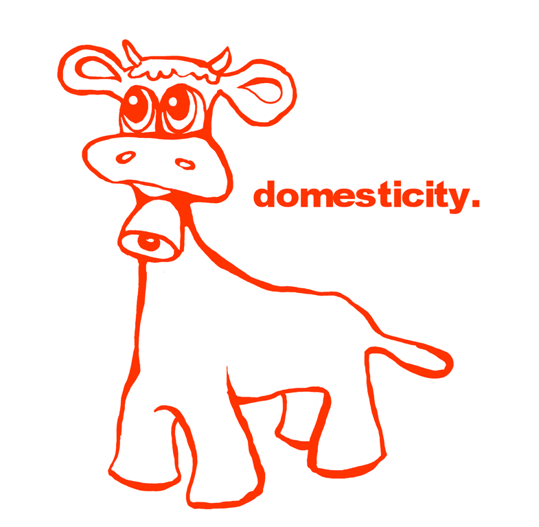 Domestisity